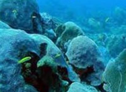 Port Blair, Havelock with Neil Island Tour