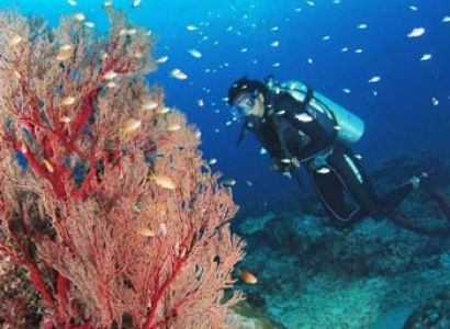 Wonderful Andaman Tour