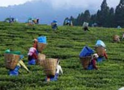 7 Days Guwahati with Shillong Tour