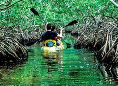 Best of Andaman Tour