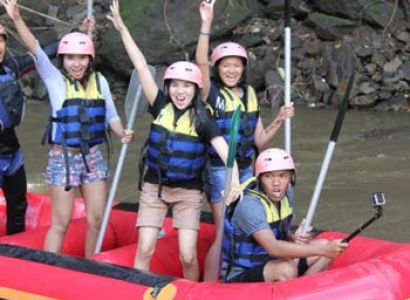 Ayung River Rafting Adventure with Lunch Tour