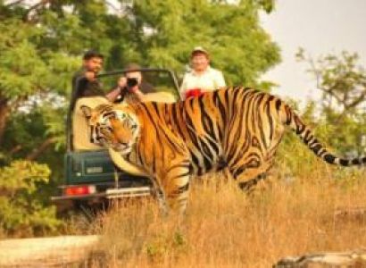 Nainital & Jim Corbett Tour