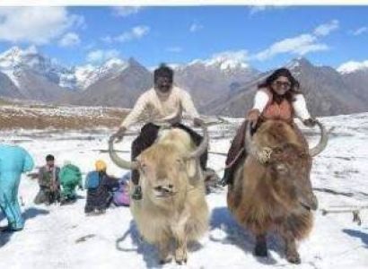 Delhi Shimla Volvo Package