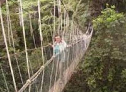 Taman Negara National Park Package