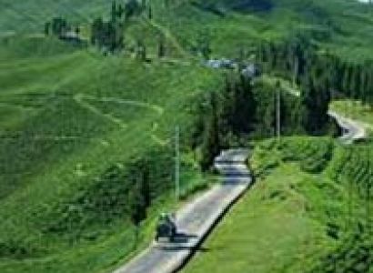 Mesmerizing Darjeeling Gangtok Tour
