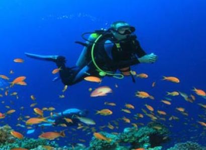 Exotic Andaman Tour