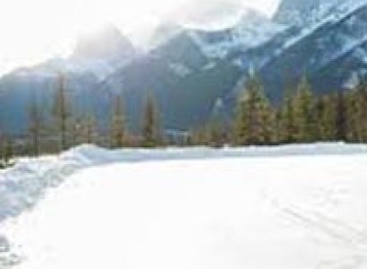 Himachal Honeymoon Tour Package