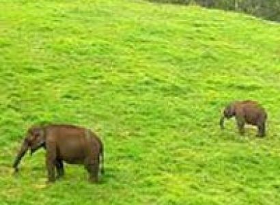 Poovar Islands  2n&3d Tour