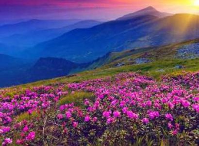 Valley of Flowers Trek Tour