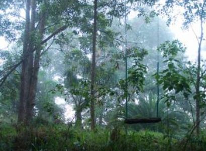 Amazing Australia Tour