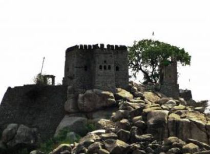 Scintillating Rajasthan Wildlife Tour