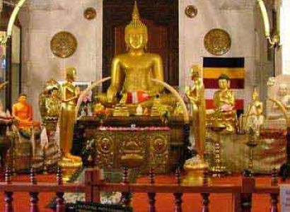 Splendid Tour of Sri Lanka Tour