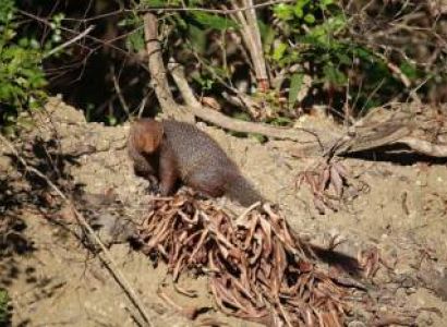 Alluring Sri Lanka Tour