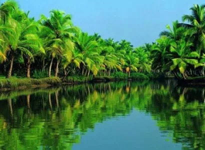 Cochin Holiday Tour