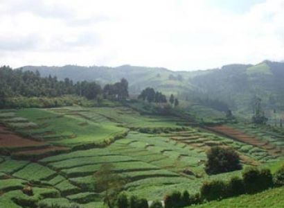 Short Escape to Ooty Tour