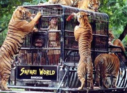 Simply Thailand Tour