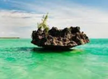 Mesmerizing Mauritius Tour