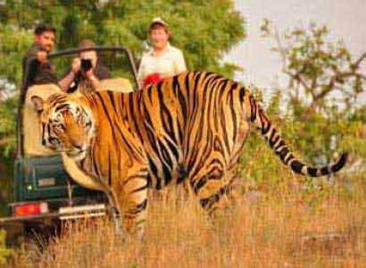 Jim Corbett Tour