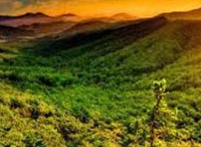 Maharashtra Honeymoon Tour