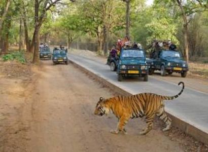 Golden Triangle with Ranthambore Tour