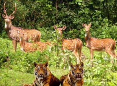 Nanital and Corbett Tour from 30,500