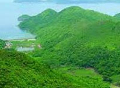 Delhi - Corbett - Ranikhet - Kausani - Nainital - Delhi 06 Night / 07 Days Tour