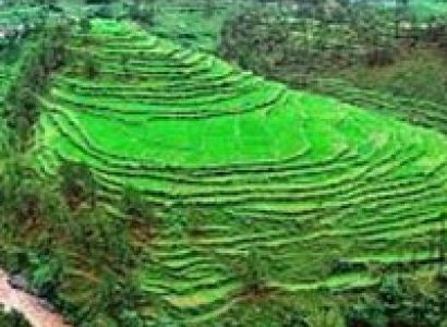 Delhi - Nainital - Corbett - Rishikesh - Mussoorie - Delhi 06 Night / 07 Days