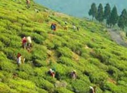 Himalayan Bliss Honeymoon Package