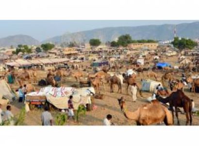 Golden Triangle Tour with Ajmer & Pushkar