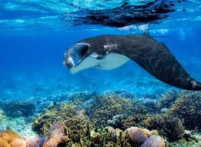 Adventure Trip Package