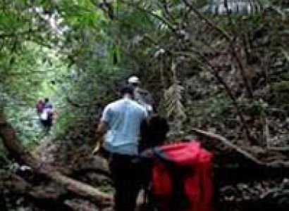 Trekking in Coorg Package