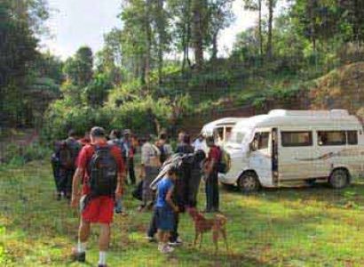 Trekking in Kodachadri Package