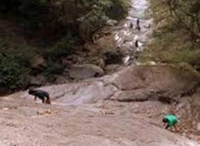 Wayanad Adventure Camping Package