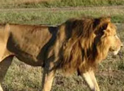 Glorious Gujrat Tour