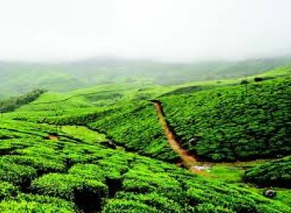Coorg Honeymoon Package