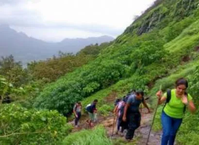 One Tree Hill Night Trekking Tour