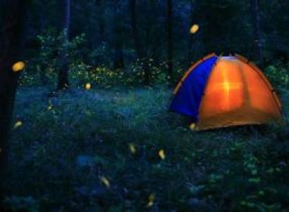 Fireflies – Bhandardara Camping  Samrad Village Tour