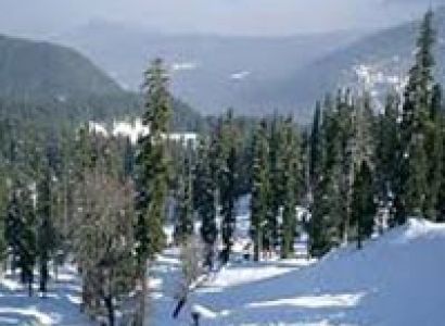 New Year New Kashmir 70% Off Tour