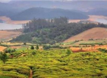 Ooty and Kodaikanal Tour