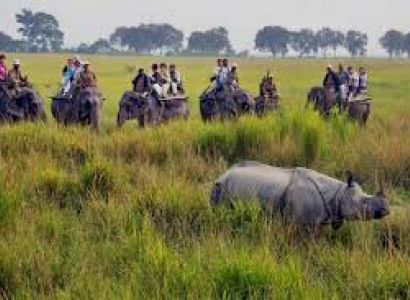 Guwahati, Shillong, Cherrapunjee, Mawlynnong, Dawki, Kaziranga Tour