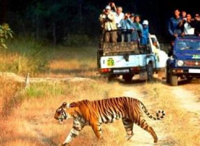 Corporate & Student Package