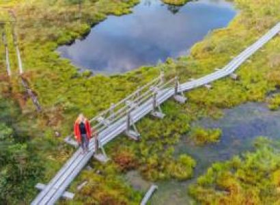 Small Group Lithuania in 7 Days (guaranteed Departure)