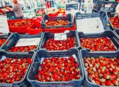 Vibrant Vilnius Weekend Break with Food Market Visit