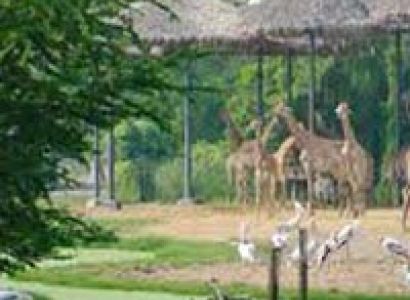 Simply Thailand Package