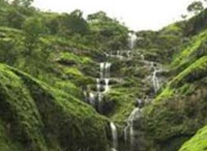 Charming Coorg & Waynad Tour