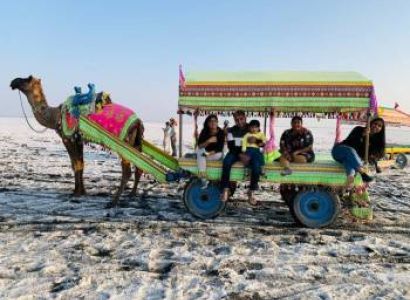 1 Night - 2 Day Rannutsav Tour