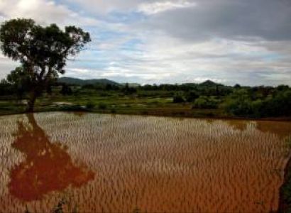 Beauty Of Tamilnadu Tour