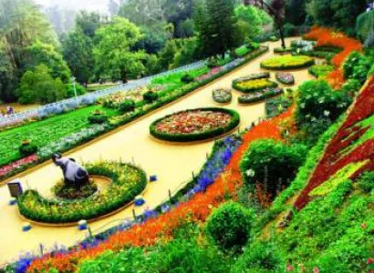 Mysore Bandipore Ooty Tour