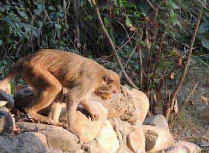 Naturally Refreshing Weekend Package