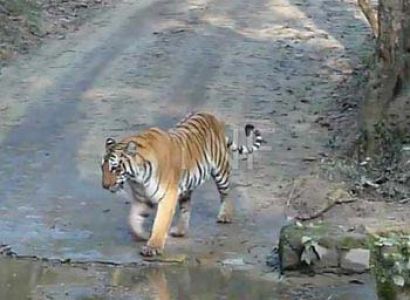 Spiritual Tour With Wildlife Package